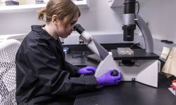 Samantha Musso looks into a microscope in a lab. 